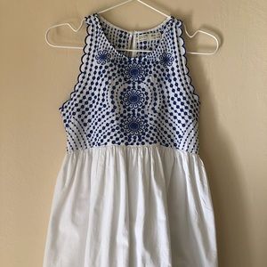 Lace embroidered Zara dress 10T